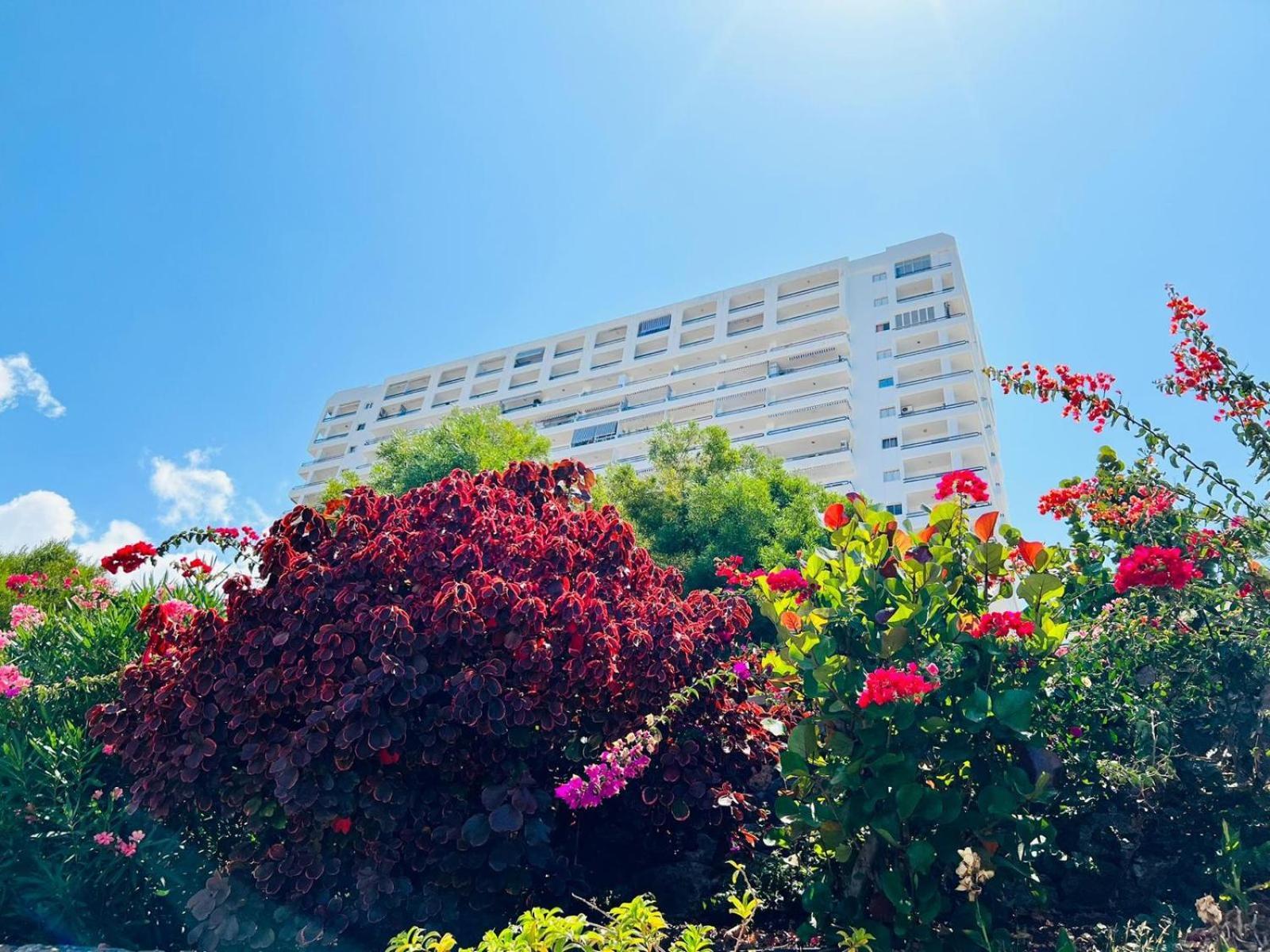 Luxury Kim Apartment, Ocean View & Wifi Free Playa Paraíso Exterior foto